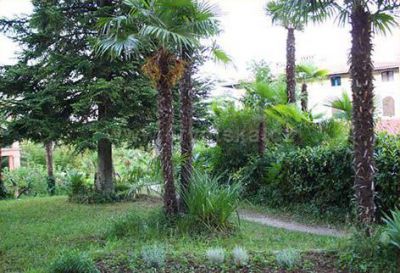 Apartments Basan -Villa San Giuseppe