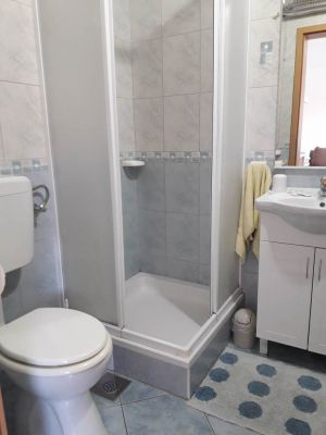 Apartmani Šaneta