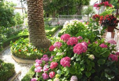 Apartmani Marija Španjol