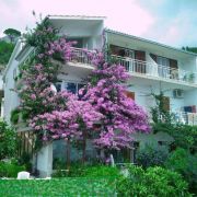 Apartmani SPEEDBOAT