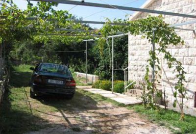 Tonkica apartmani