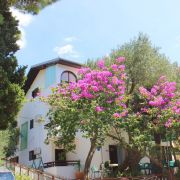 Apartmani Vila Filipovic