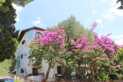 Apartmani Vila Filipovic