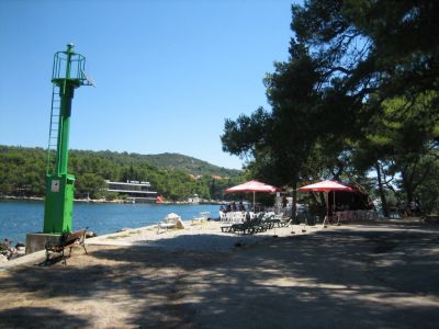 Apartments Villa Mira