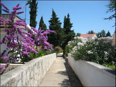 Apartments Villa Mira