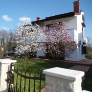 Villa Iva