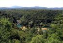 Robinson camp VRELA MREŽNICE