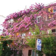 Apartmány ZORKA