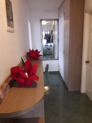Apartman Zora
