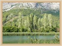 Rijeka Cetina