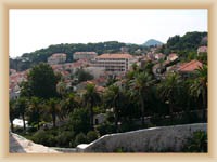 Boninovo