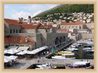 Stara luka