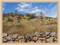 Otok Hvar