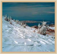 Velebit