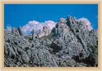 Velebit